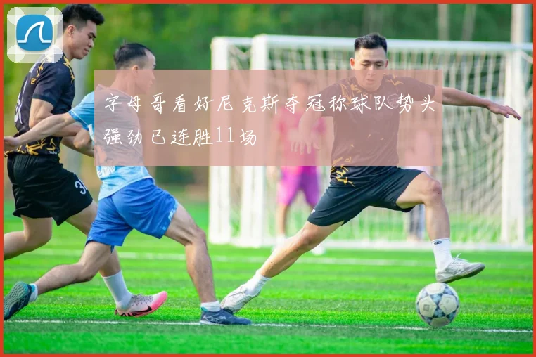 字母哥看好尼克斯夺冠称球队势头强劲已连胜11场