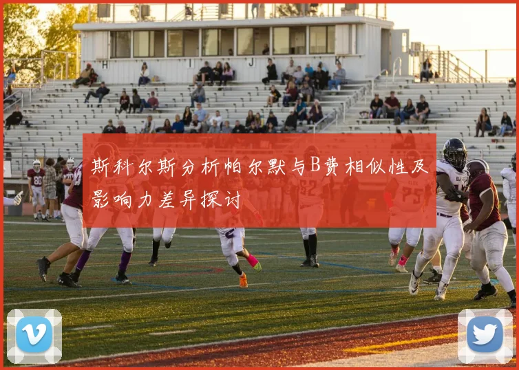 斯科尔斯分析帕尔默与B费相似性及影响力差异探讨